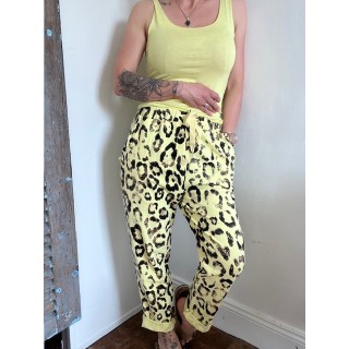 Pantajog jaune et noir